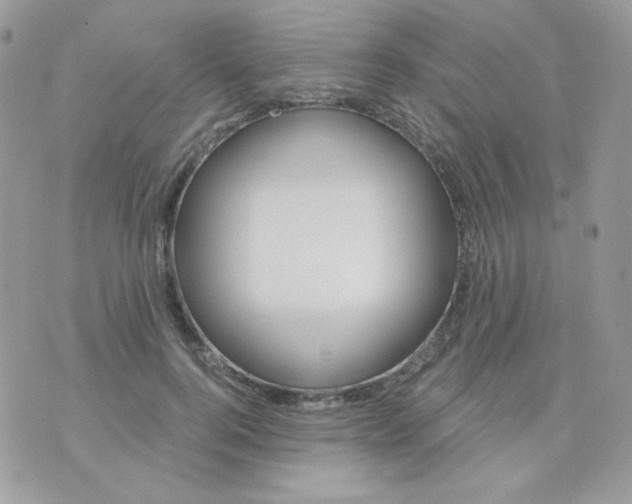 X0000071330744200607212006