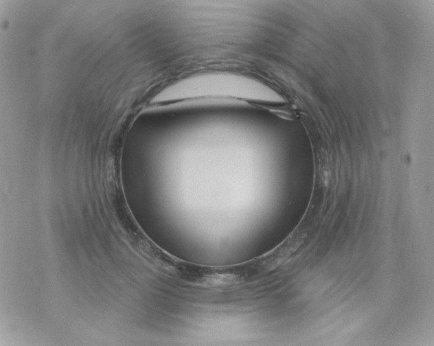 X0000071330748200607212007