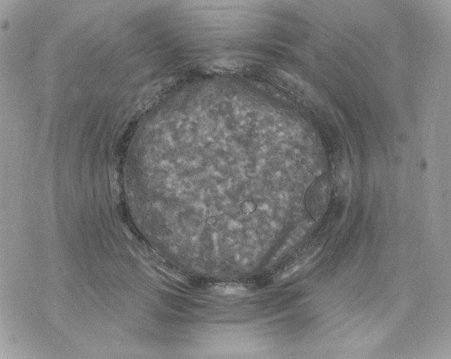 X0000071330749200607212007