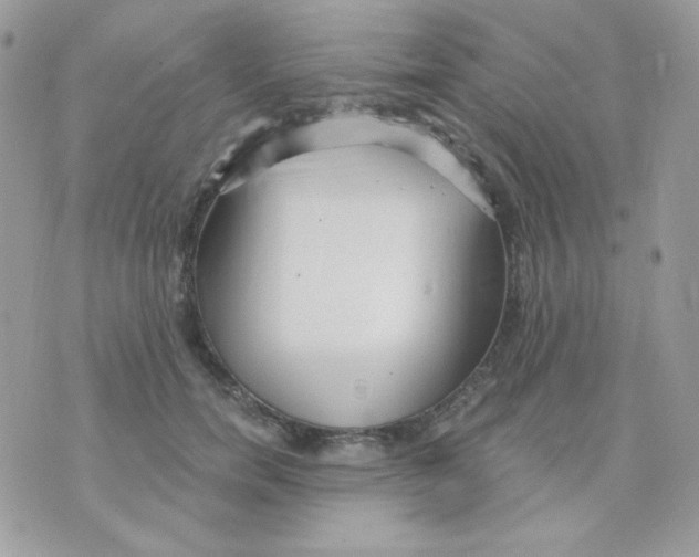 X0000071330750200607212007