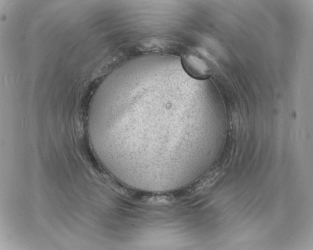 X0000071330751200607212007