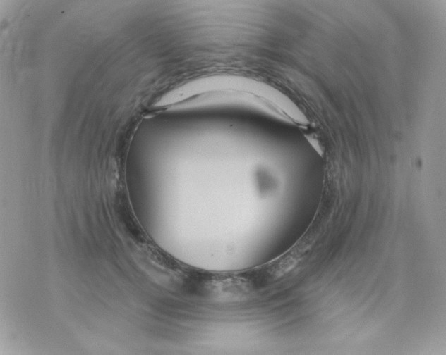 X0000071330752200607212007