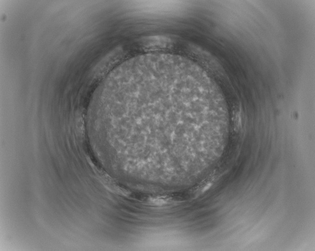 X0000071330753200607212007