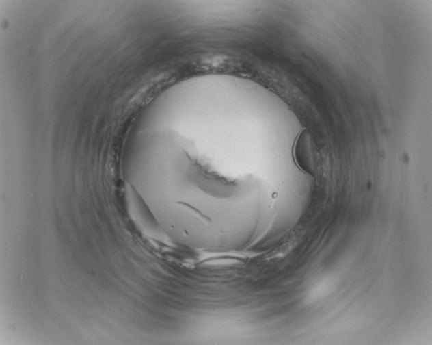 X0000071330754200607212007