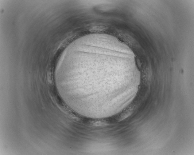 X0000071330755200607212007