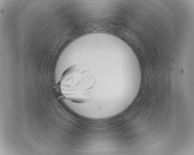 X0000071330756200607212007