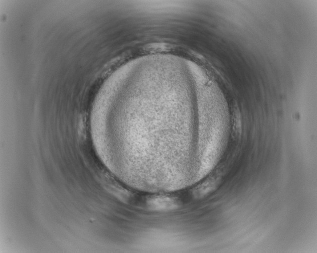 X0000071330759200607212007