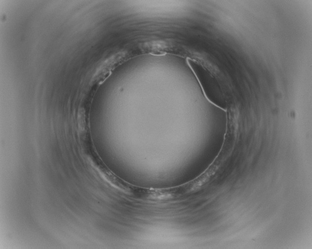 X0000071330760200607212007