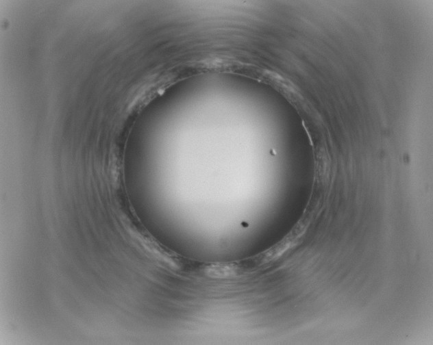 X0000071330762200607212007