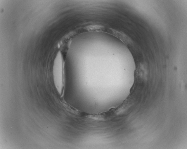 X0000071330763200607212007