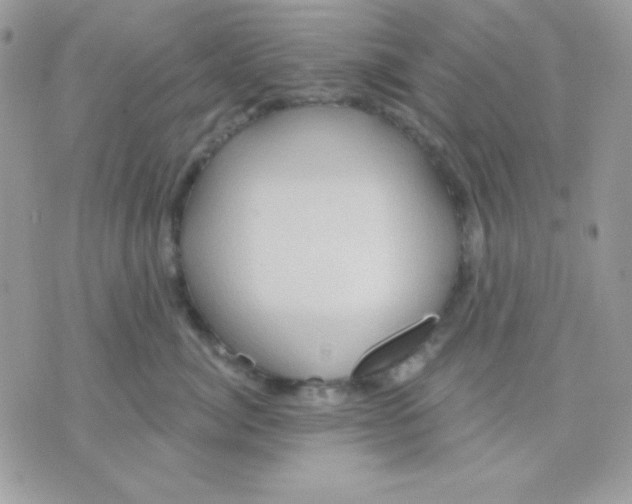 X0000071330764200607212007