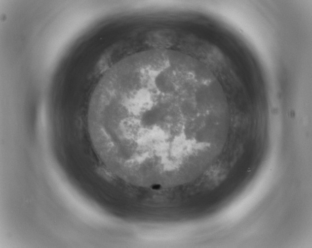 X0000071330765200607212007