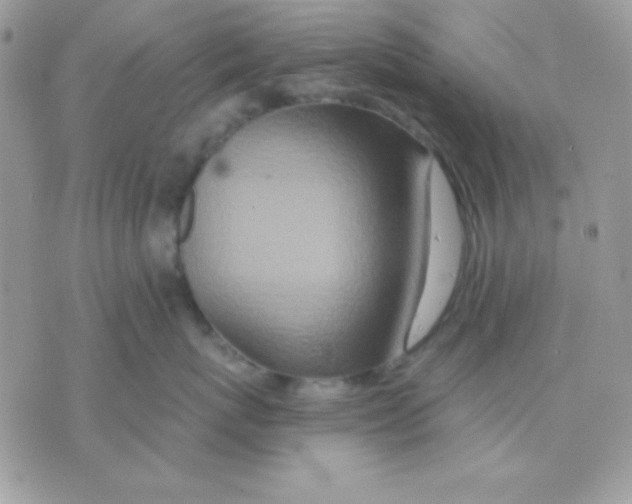 X0000071330767200607212007