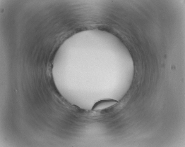 X0000071330768200607212007