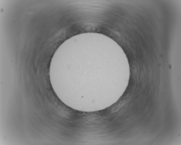 X0000071330769200607212006