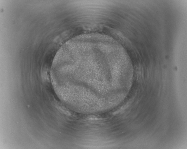 X0000071330770200607212006