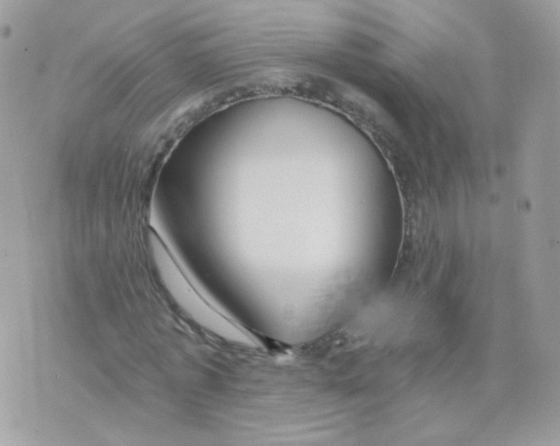 X0000071330773200607212006