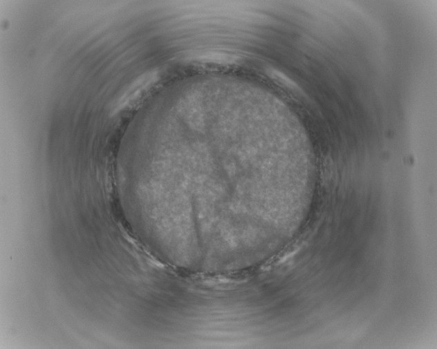 X0000071330774200607212006