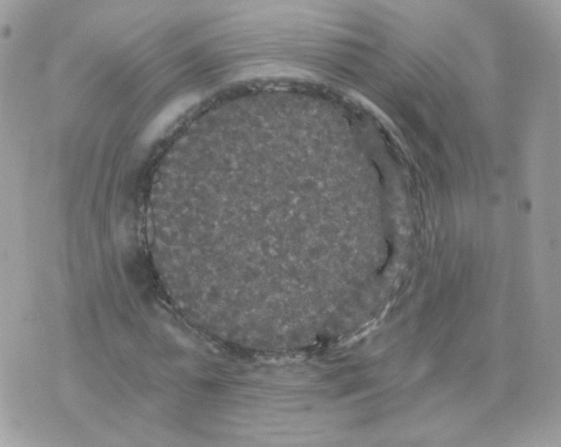 X0000071330775200607212006