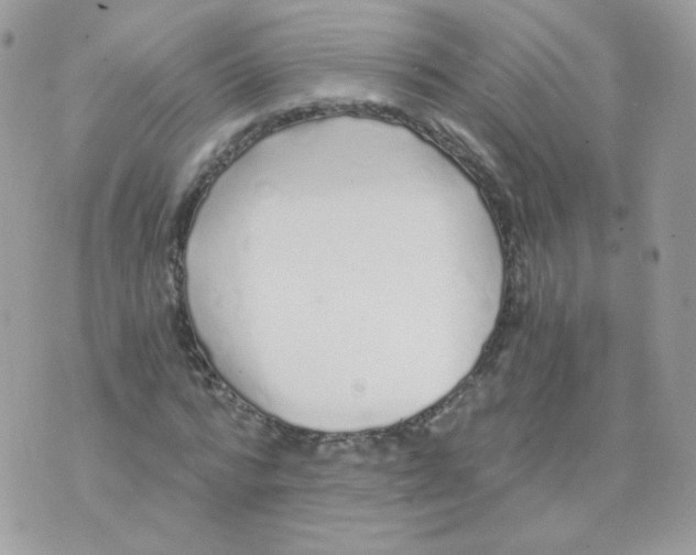 X0000071330776200607212006