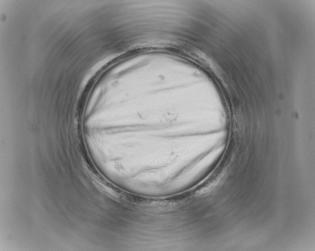 X0000071330779200607212006