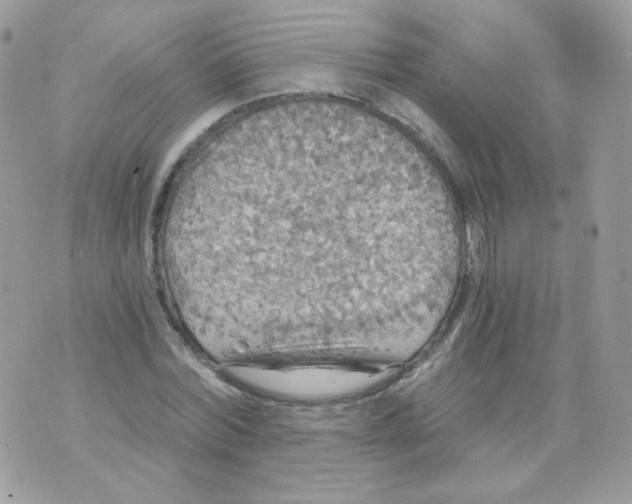 X0000071330780200607212006