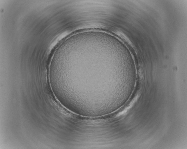 X0000071330781200607212006