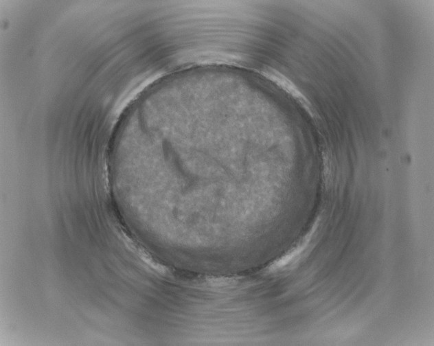 X0000071330782200607212006