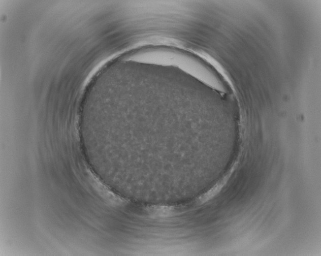 X0000071330783200607212006