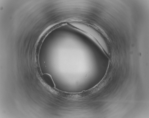 X0000071330784200607212006