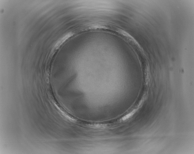 X0000071330785200607212006