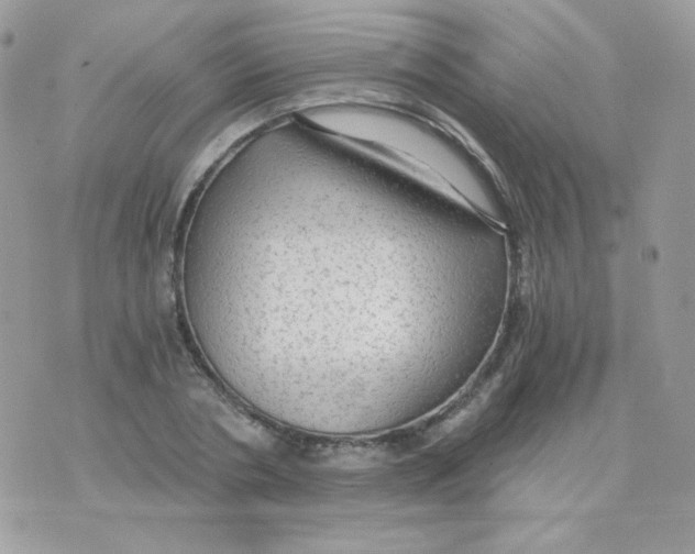 X0000071330786200607212006