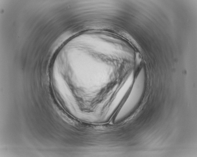 X0000071330787200607212006