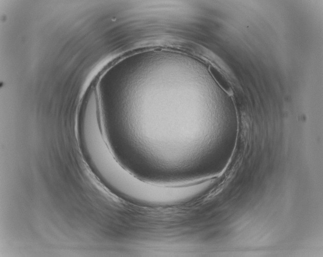 X0000071330788200607212006