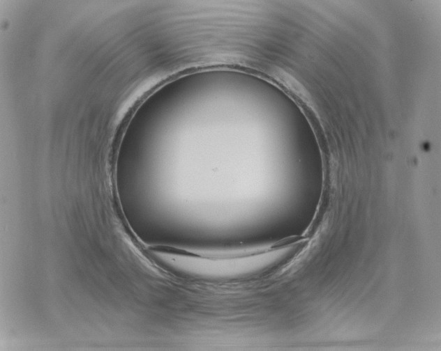 X0000071330789200607212006