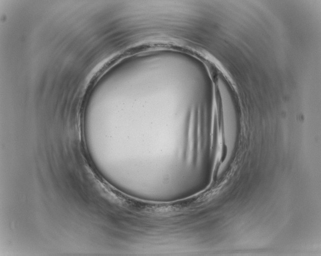 X0000071330791200607212006