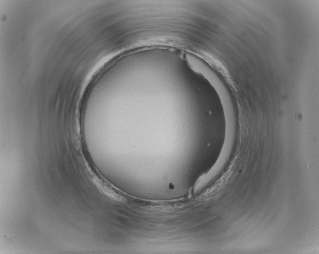 X0000071330792200607212006