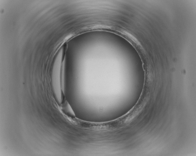 X0000071330793200607212006