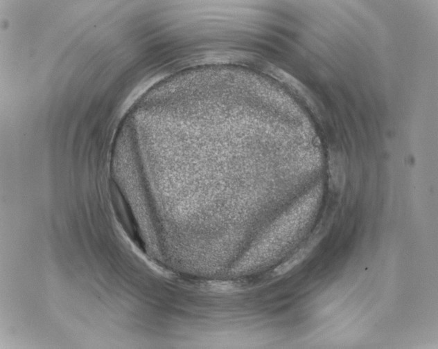 X0000071330794200607212006