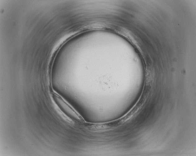 X0000071330795200607212006