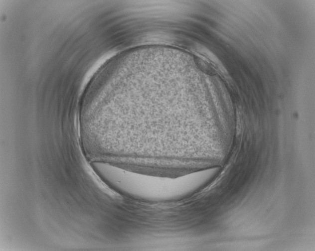 X0000071330796200607212006