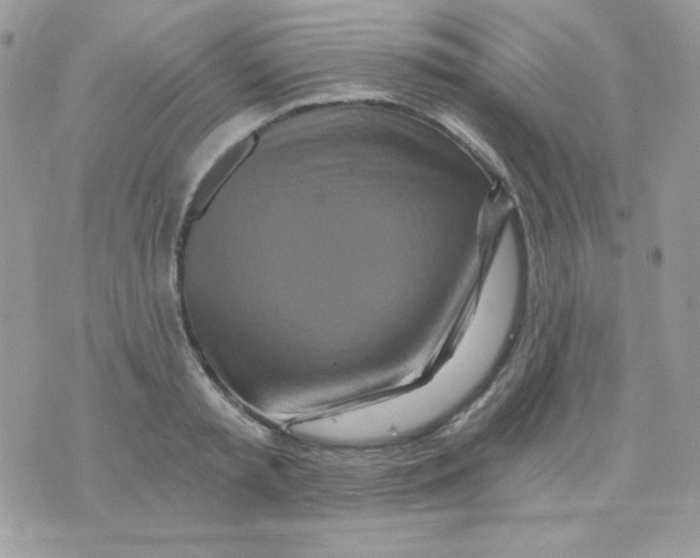 X0000071330797200607212006