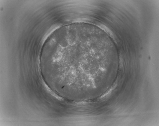 X0000071330798200607212006