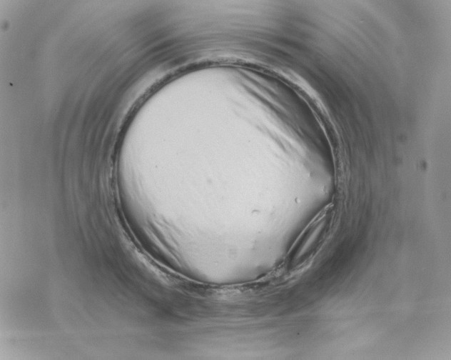 X0000071330799200607212006