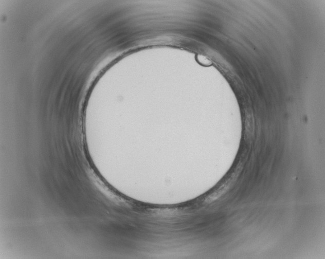 X0000071330800200607212006