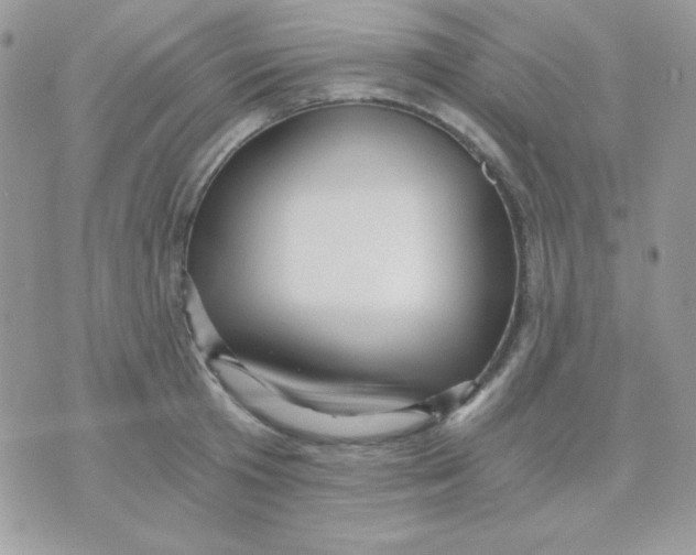 X0000071330801200607212006