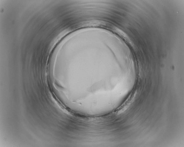 X0000071330802200607212006