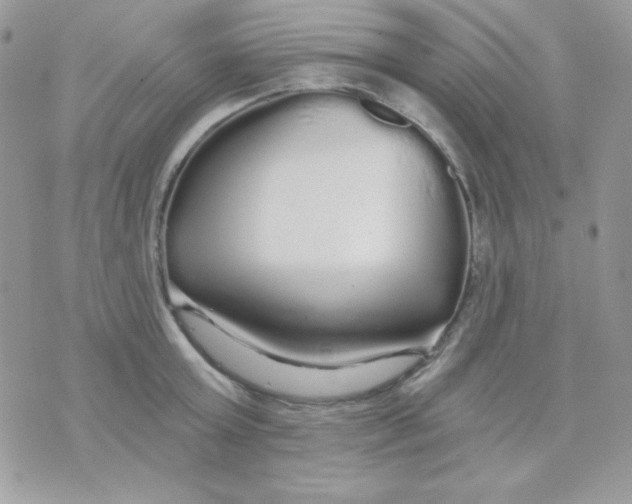 X0000071330803200607212006