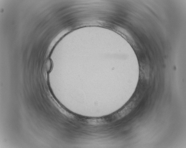 X0000071330804200607212006