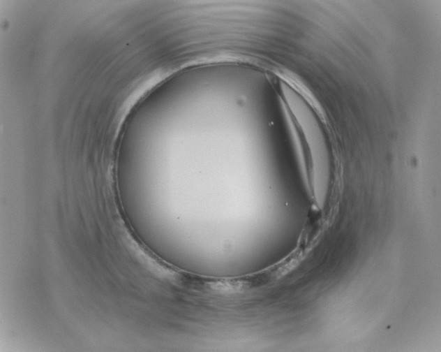 X0000071330805200607212006